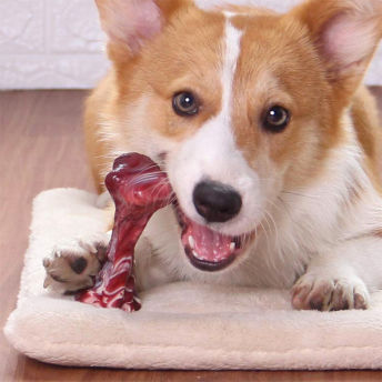 Indestructible NonToxic Dog Chew Toys for Aggressive  - 25 Unique Gifts for Dog Lovers (and their Dogs)